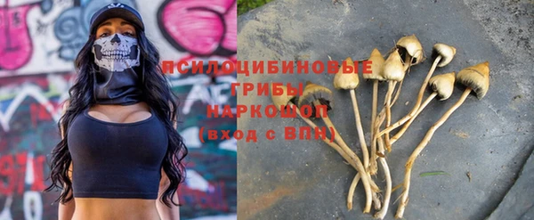 меф Нефтегорск