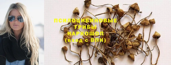меф Нефтегорск
