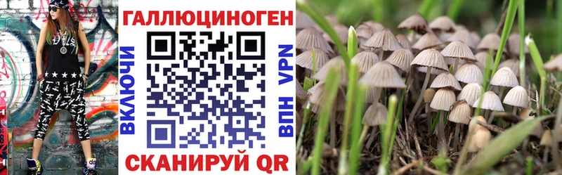 Псилоцибиновые грибы Psilocybine cubensis  Агрыз 